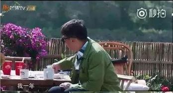 圈内爆料佟丽娅黄磊,幕后故事揭秘 第1张 圈内爆料佟丽娅黄磊,幕后故事揭秘 第1张